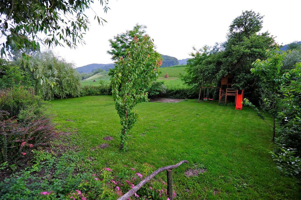 Transylvanian Country House Vetca Eksteriør billede